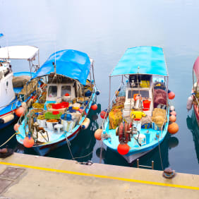 Picture of The 10 Tastings of Limassol