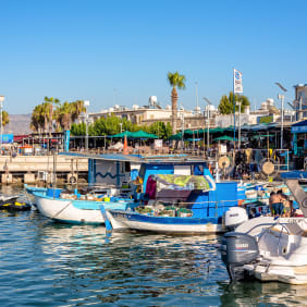 Picture of Full Coverage Paphos City Tour