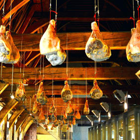 Picture of The 10 Tastings of Ghent