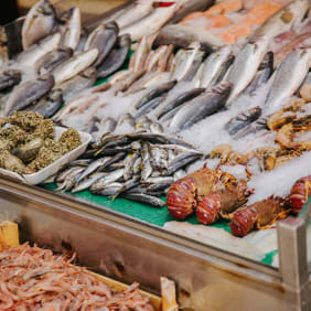 Picture of The 10 Tastings of Rijeka
