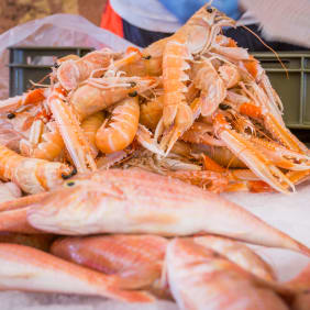 Picture of Culinary Kickstart Tour: Split