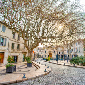 Picture of Full Coverage Avignon City Tour