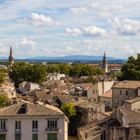 Picture of Highlights & Hidden Gems of Avignon