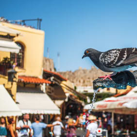 Picture of Withlocals Your Way! - Rhodes City Tour