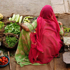 Picture of Highlights & Hidden Gems of Agra