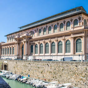 Picture of Highlights & Hidden Gems of Livorno