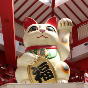 Picture of Highlights & Hidden Gems of Nagoya