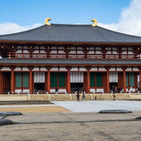 Picture of Highlights & Hidden Gems of Nara