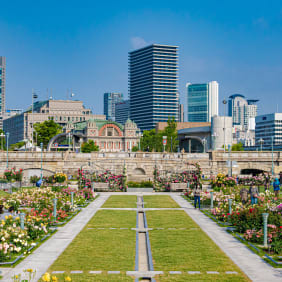 Picture of Highlights & Hidden Gems of Osaka