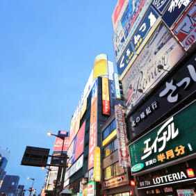 Picture of Highlights & Hidden Gems of Sapporo