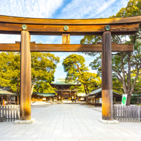 Picture of Full Coverage Tokyo City Tour