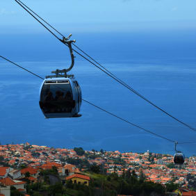 Picture of Highlights & Hidden Gems of Funchal