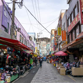 Picture of Highlights & Hidden Gems of Busan
