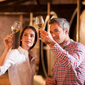 Picture of Premier City Escape: Discover the Basque Country on a Day Trip