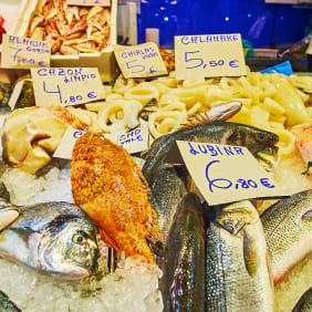 Picture of The 10 Tastings of Cadiz