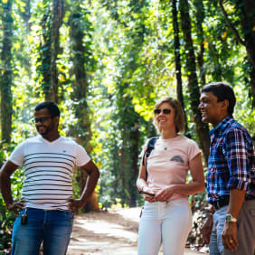 Picture of Full Coverage Kandy City Tour