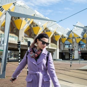 Picture of Highlights & Hidden Gems of Rotterdam