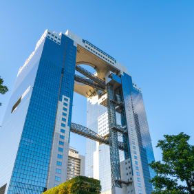 Picture of Essential Osaka: From Sky Towers to Street Markets to Castles Full Coverage Tour