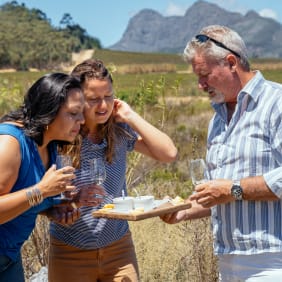 Picture of Vineyard Voyage: Unveiling Wine Delights of Stellenbosch