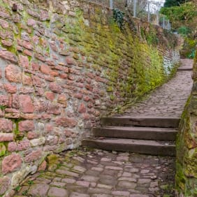Picture of Stroll Through Thought: The Philosopher’s Walk in Heidelberg