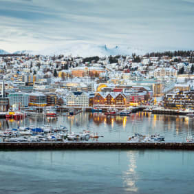 Picture of Highlights & Hidden Gems of Tromsø including Cable Car