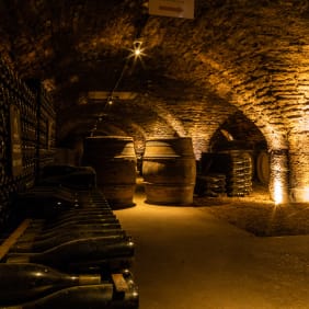 Picture of City Explorer: Beaune Day Trip by Train