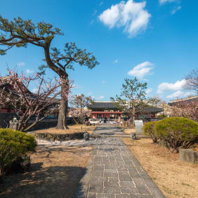 Picture of The History of Jeju City: April 3rd Uprising & Peace Tour