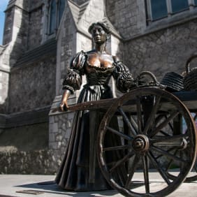 Picture of Treasures of Dublin: Book of Kells, Dublin Castle & Molly Malone Statue Tour