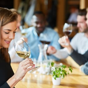Picture of A Taste of Swan Valley: Boutique Wineries & Estate Elegance