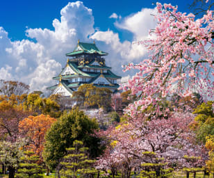 An image of Osaka