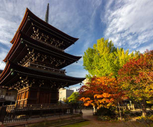An image of Takayama