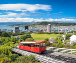 An image of Wellington