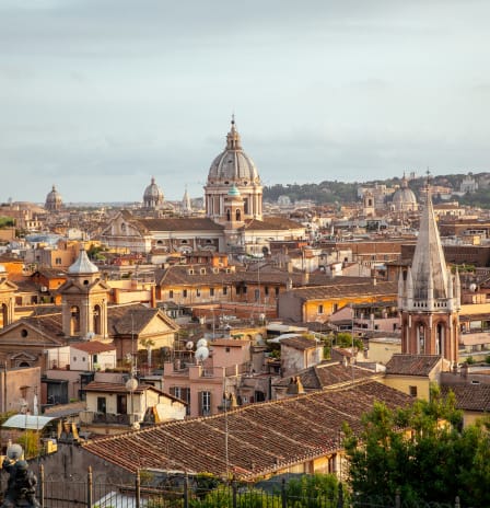 A view on the Vatican from a hill