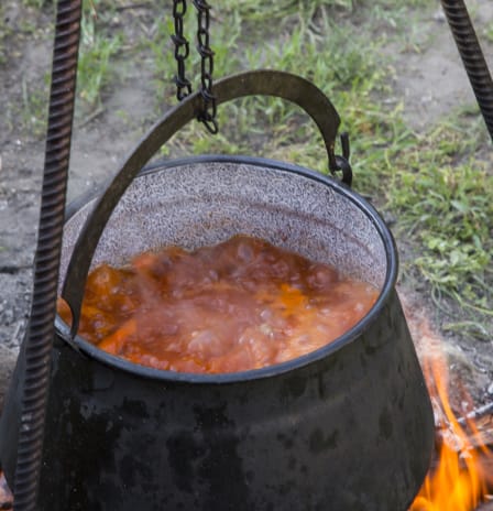 An Authentic Danubian Fisherman's Soup Cooking Class