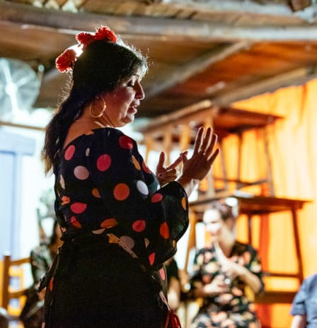 The Ultimate Flamenco Experience with a local Dancer 