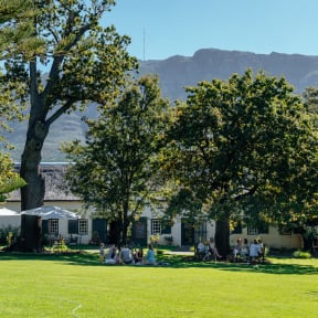 tours by locals cape town