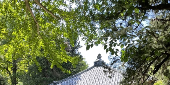 Picture of Kamakura Highlights: Half-Day Adventure