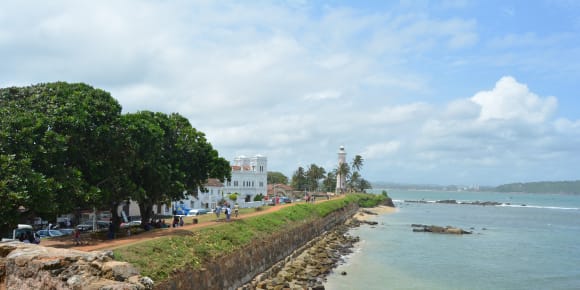 Picture of Unique insights to Sri Lanka – up close