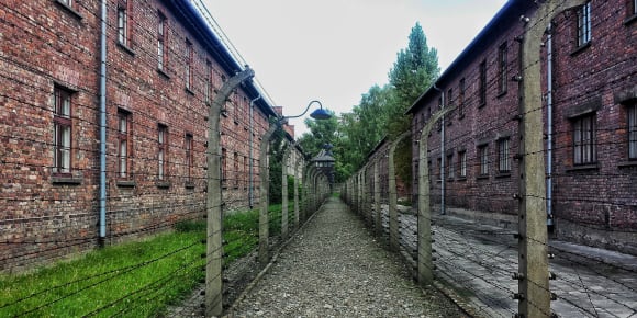 Picture of Auschwitz Day Trip