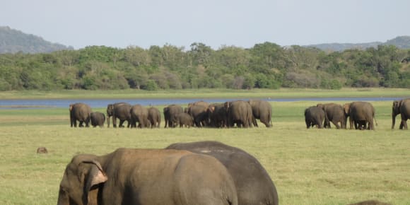 Picture of 2 Day Wildlife and Culture Tour 