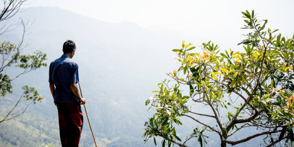 Picture of Hiking Experience - Two Magical Days in Ella