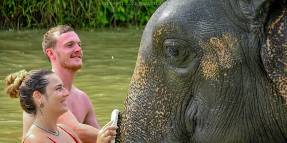 Picture of Elephant Sanctuary & Phuket Highlights: An Authentic Adventure
