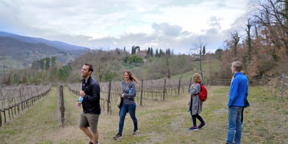 Picture of Nature fun! Tuscany Hike & Wine Private Tour with a Professional Guide and a Winemaker.