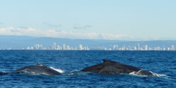 Picture of 2 Day Private Trip to Galle with Overnight Stay