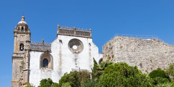 Picture of Vineyard Delights: Cadiz Hills and Local Village Tour
