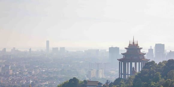 Picture of China Town & Little India Tour