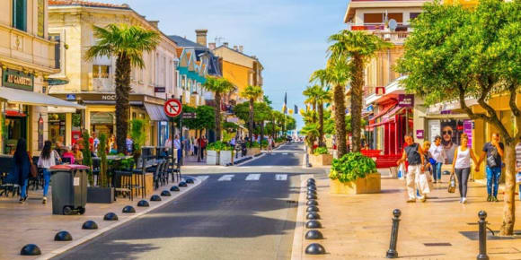 Picture of Bordeaux to Arcachon: VIP Day Trip with Dune du Pilat & Oyster Farm