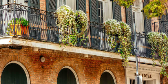 Picture of Highlights & Hidden Gems of New Orleans