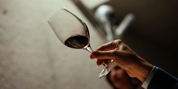 Picture of Azeitão Vineyard Tour & Wine Tasting