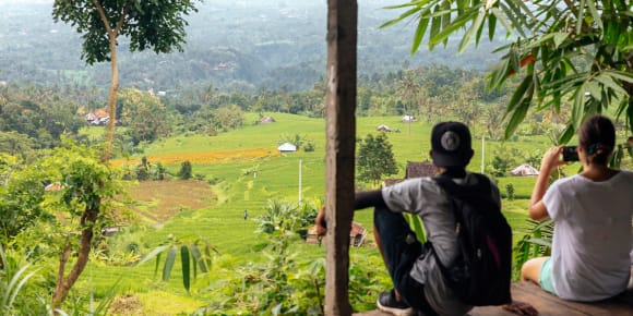 Picture of City Escape: The Bali Waterfalls Day Trip